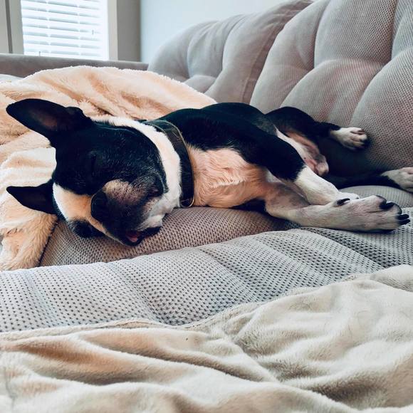 Meet your Posher, Marinela - Picture 1 of 1